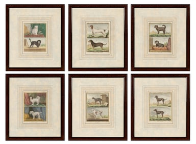 Jacques de Sève (fl. 1742-1788)