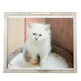 Two American Sterling Silver Picture Frames 20th Century