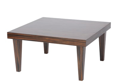 Modern Calamander Wood Veneered Low Table