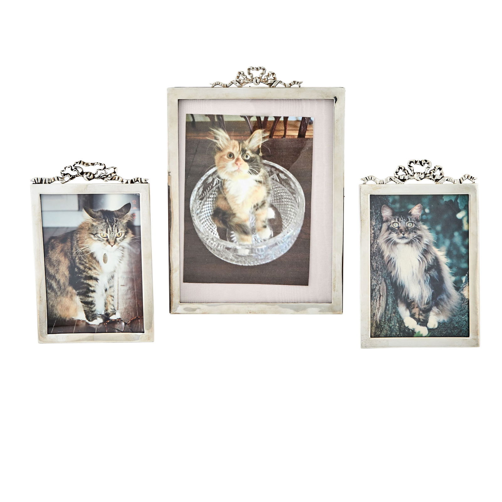 Assembled Set of Three English Sterling Silver Picture Frames Early 20th century: Each rectangular with a tied ribbon crest. Height of largest 9 3/4 inches, width 6 3/4 inches; height of smaller pair 6 3/4 inches, width 4 1/4 inches.