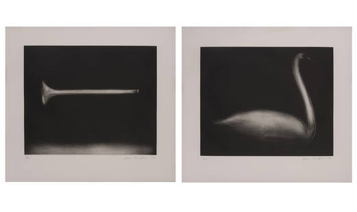 Joe Andoe (b. 1955): HORN; SWANTwo aquatints, 1992, on wove paper, signed, dated and numbered 7/50 in pencil, published by the Metropolitan Museum of Art, New York and with their blindstamp, with full margins, framed. Eac