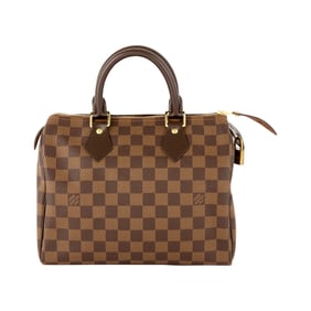 Louis Vuitton Damier Ebene 'Speedy' 25 Bag