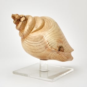 Carved Wood Conch Shell 20th Century
