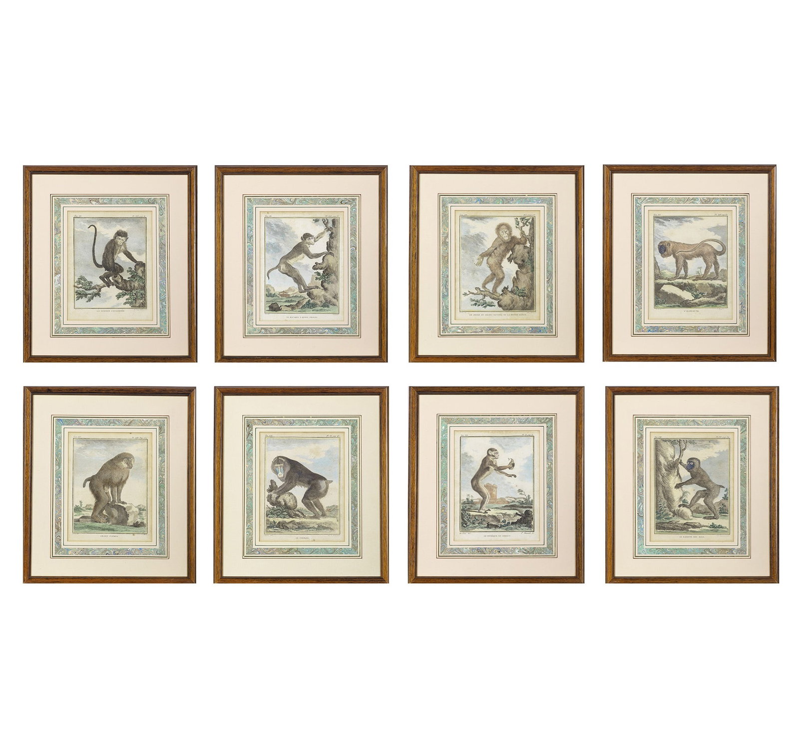 Jacques de Sève (fl. 1742-1788): Estate / Collection: The Collection of Joanne B. Breyer [SIMIAN STUDIES] Eight hand-colored engravings, from Histoire Naturelle, Générale et Particulière, avec la Description du Cabinet du Roi, fra