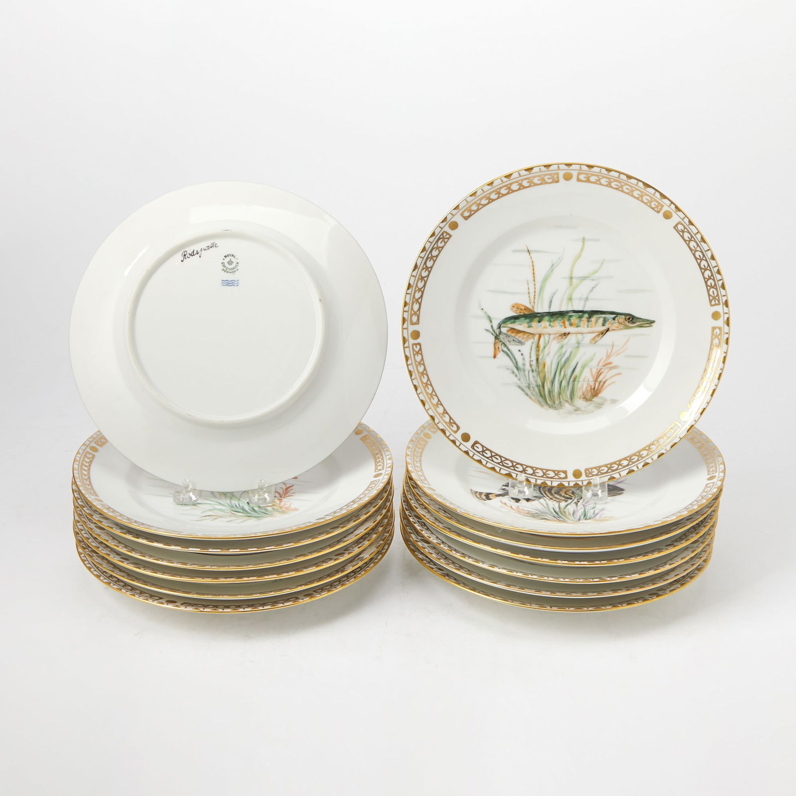 Set of Fourteen Royal Copenhagen Porcelain Dinner Plates Decorated with Marine Life: Outside decorated with aquatic life. Diameter 9 7/8 inches. Factory seconds, some rubbing and losses to decoration. Diameter 9 7/8 inches (25 cm).