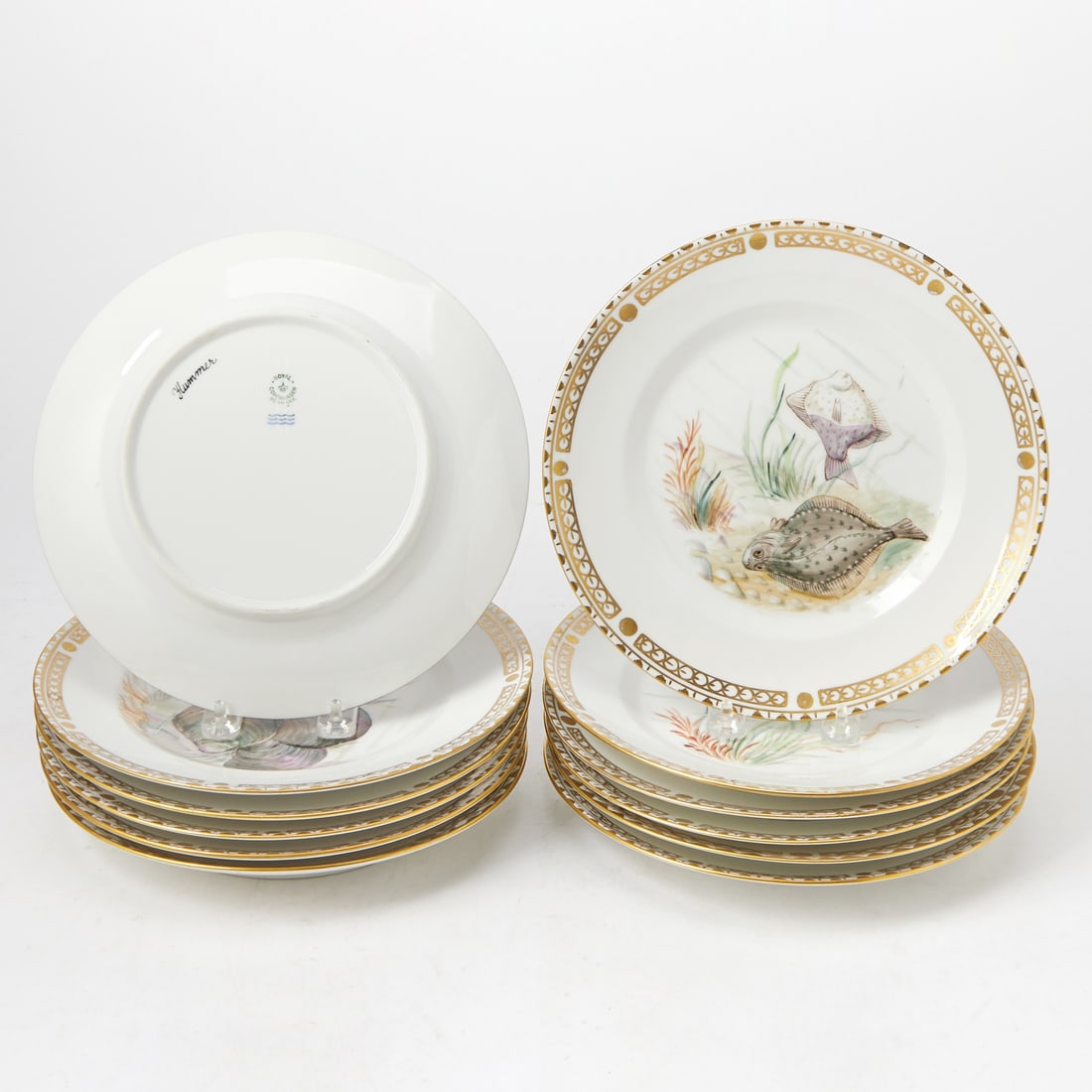 Set of Twelve Royal Copenhagen Porcelain Dinner Plates Decorated with Marine Life: Outside decorated. Diameter 9 7/8 inches. Factory seconds, some rub and losses to decoration and gilding.