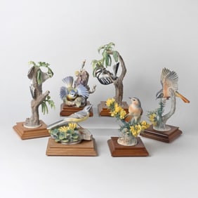 Six Dorothy Doughty for Royal Worcester Porcelain Bird Figures