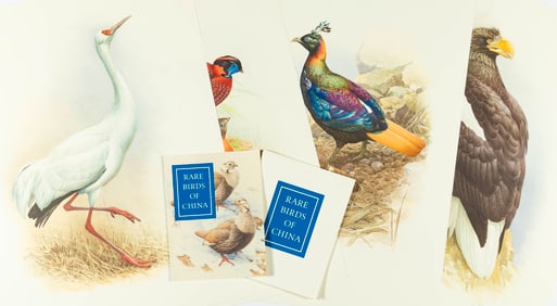 The Rare Birds of China by Lansdowne, with an original watercolor