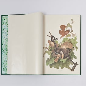 The Abbeville Press facsimile of the elephant folio Audubon Birds of America