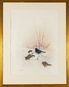 Rare Birds of China by Frederick Lansdowne, with an original watercolor