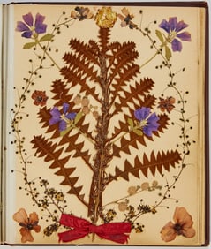A Victorian herbarium of artfully arranged pressed flowers, assembled in Western Australia in 1900