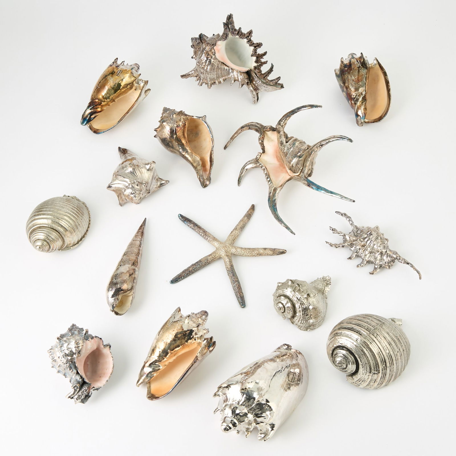 Group of Twelve Silver Plated Natural Seashells and Three Silver Plated Faux Seashells (1 of 1)