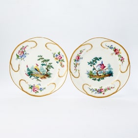 Pair of Sèvres Hard-Paste Porcelain Ornithological Cabinet Plates