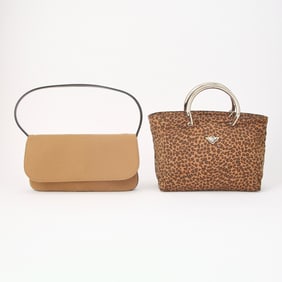 Dolce & Gabbana Suede Bag and Bottega Veneta Leopard Print Bag