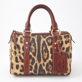 Dolce & Gabbana Canvas and Leather Leopard Print Bag
