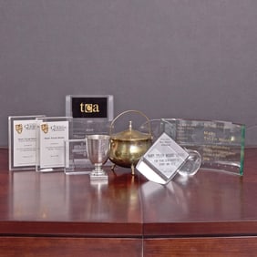 Ten awards and items presented to Mary Tyler Moore