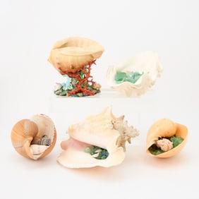 Group of Five Natural Seashells with Sea Glass