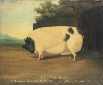 Contemporary Naive Style