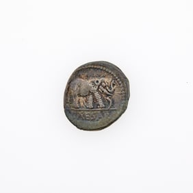 Julius Caesar. c. 49-48 B.C.E. AR Denarius (3.84g, 19mm).
