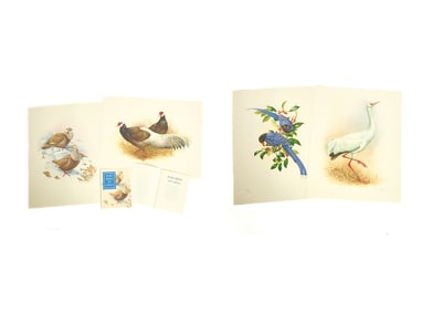 The Rare Birds of China by Lansdowne, with an Original Watercolor from The Rare Birds of China