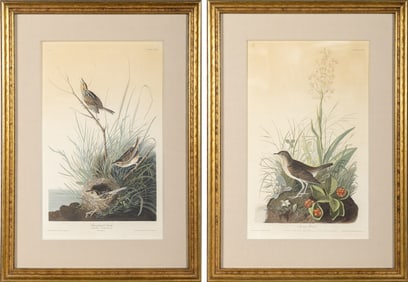 After John James Audubon (1785-1851)