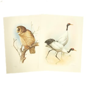 Set of Limited Edition Prints for The Rare Bird of China by Frederick Lansdowne