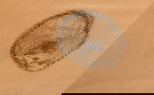 Morris Graves: American, 1910-2001 Hibernation, 1954 Signed and Graves 54 (ll) Graphite on brown paper 14 1/2 x 19 3/4 inches Provenance: Willard Gallery, New York Sale, Doyle, November 19, 2019, lot 1044 