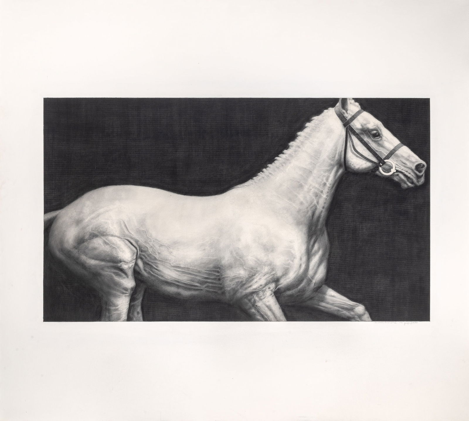 Joseph Piccillo (1 of 4)