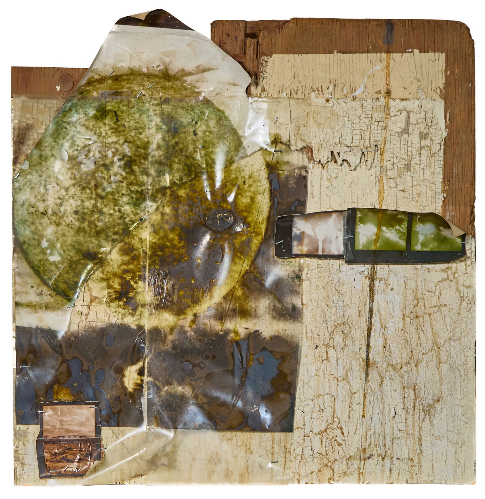 Doug & Mike Starn (1 of 2)