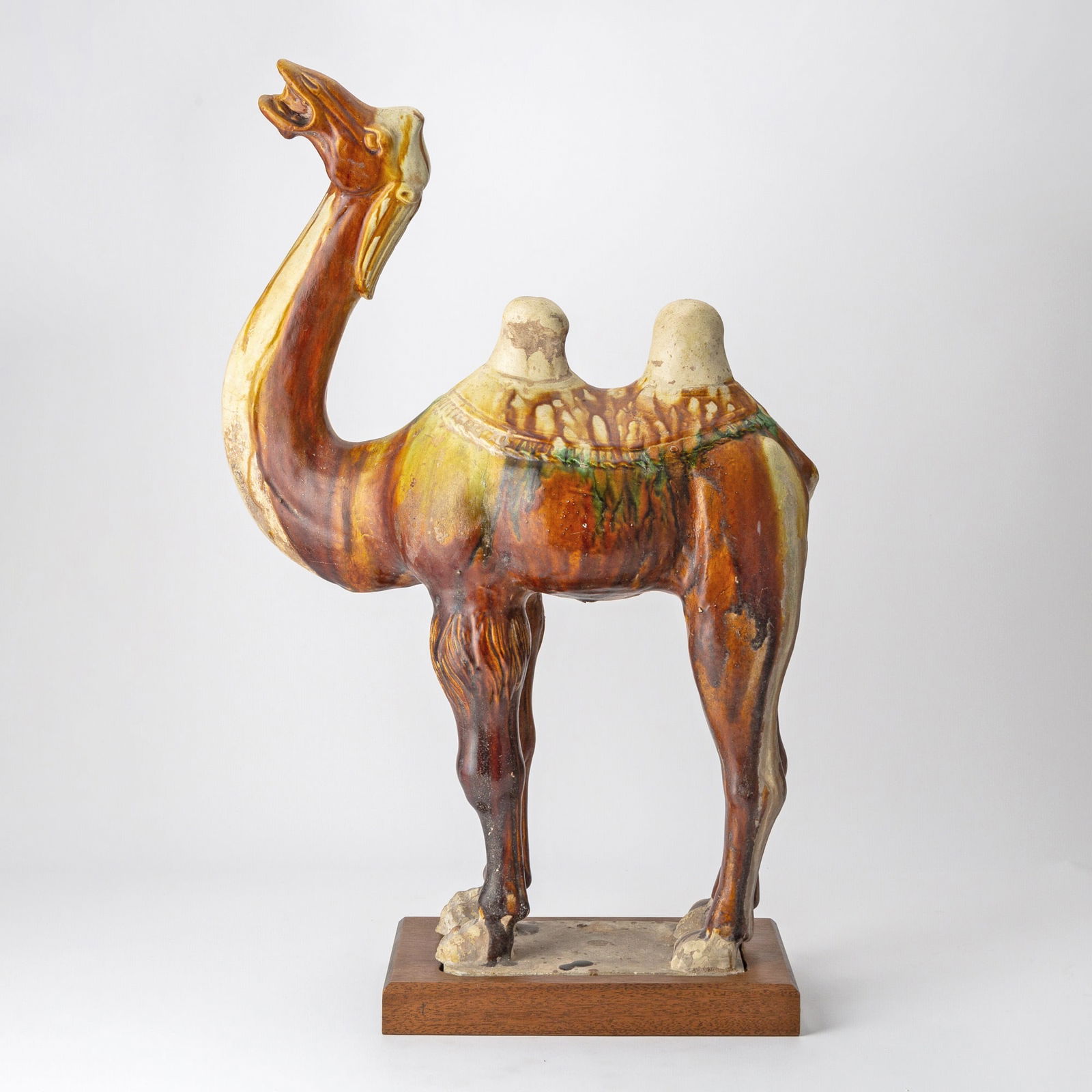 Chinese Sancai Glazed Pottery Model of a Camel Tang Dynasty (1 of 5)
