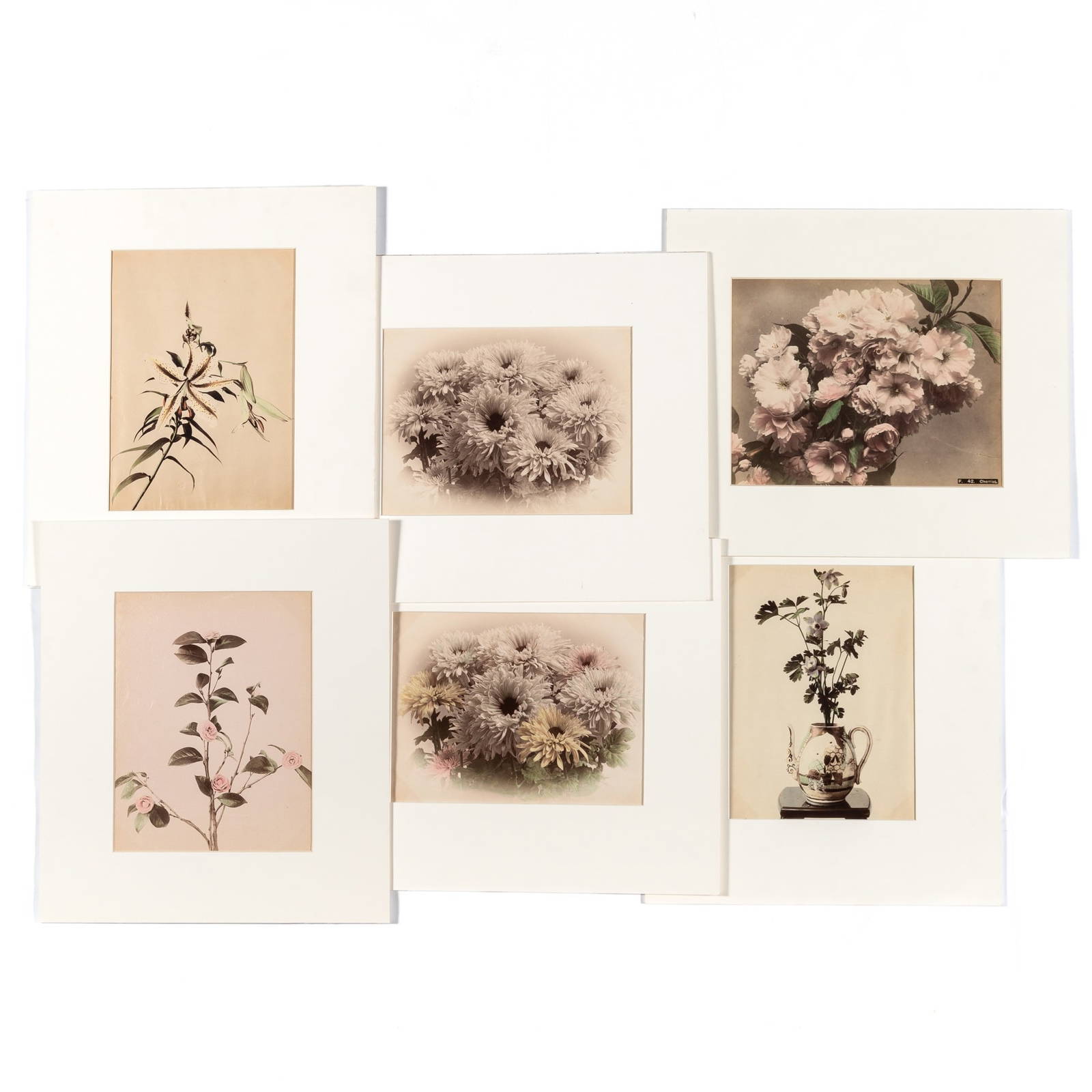 A Small Group of Japanese Floral Photographs Meiji Period