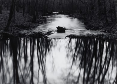 Paul Caponigno, Woods, Redding, Connecticut, 1968