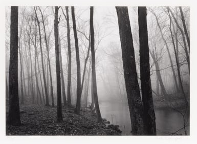 Paul Caponigro, Fog and Trees, Redding, 1968