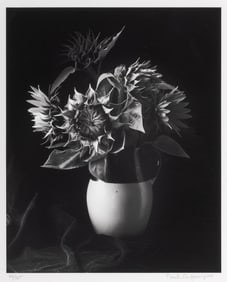 Paul Caponigro, Sunflowers, [Millerton] New York, 1969