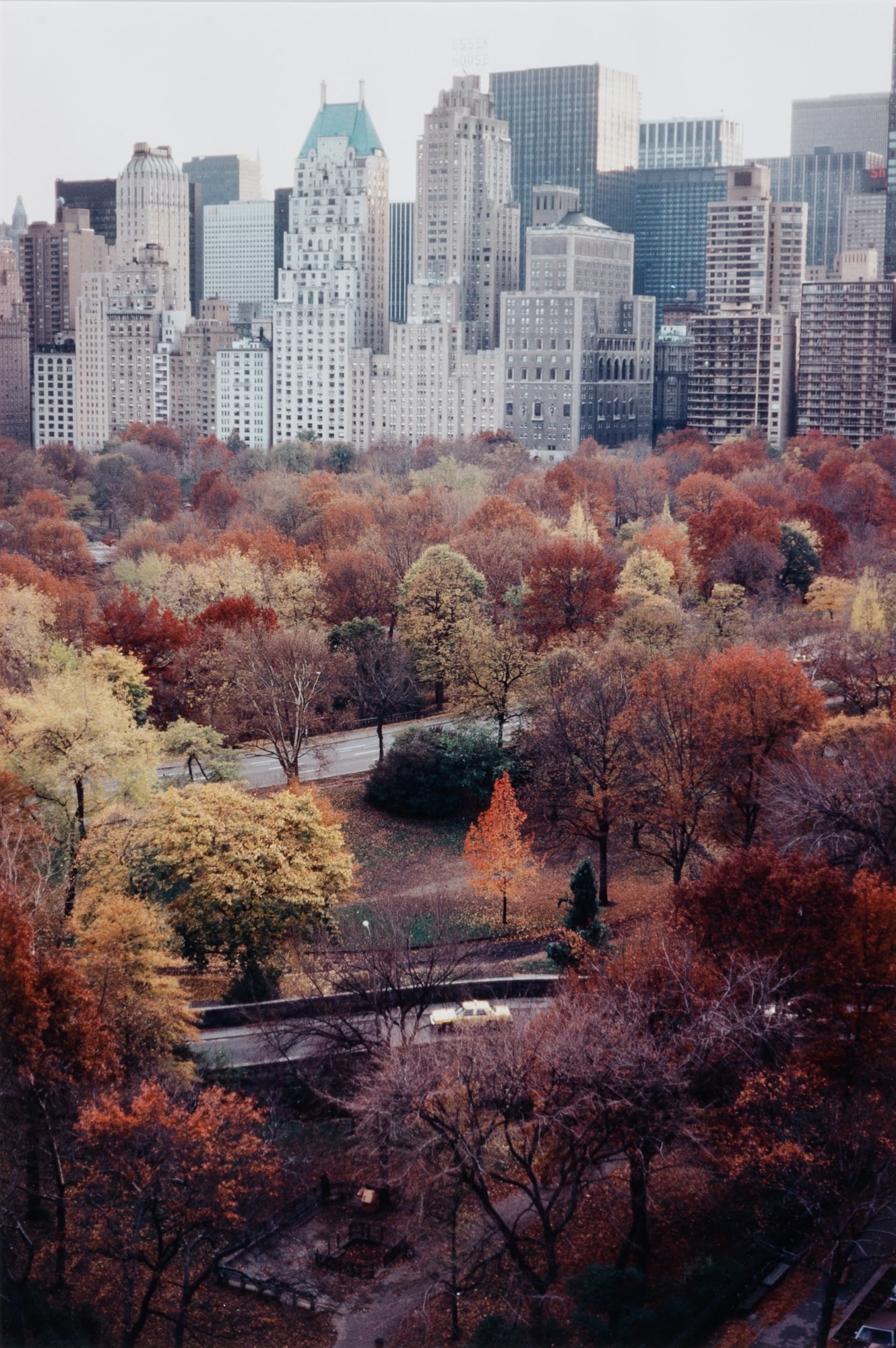 Two estate prints by Ruth Orkin: ORKIN, RUTH (1921-1985) Two images of Central Park. Comprises Christmas Tree, 1960s and Muted Autumn, 1979, both printed after 1985. Chromogenic prints, each 19 3/8 x 12 7/8