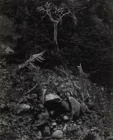 Edward Weston, North Wall, Point Lobos, 1946