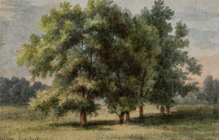 Augustus Kollner