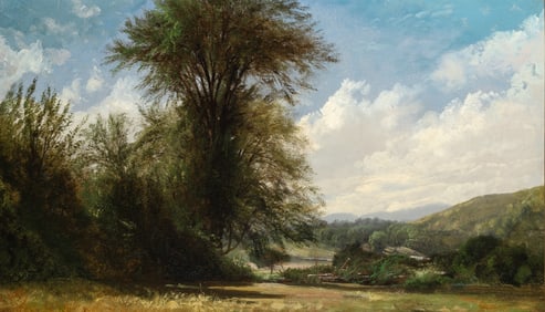Harrison Bird Brown