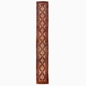 Northwest Persian Runner