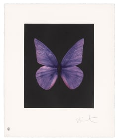Damien Hirst (b. 1965)