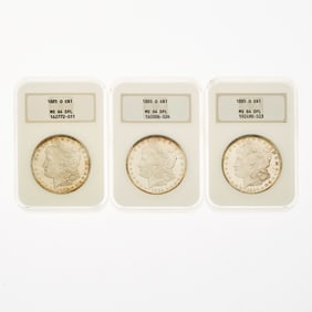 United States - Group of Morgan Dollars - NGC MS-64 DPL