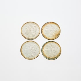 United States - Group of Brilliant Uncirculated Morgan Dollars