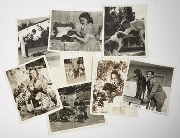 Collection of Hollywood photographs depicting actors with dogs