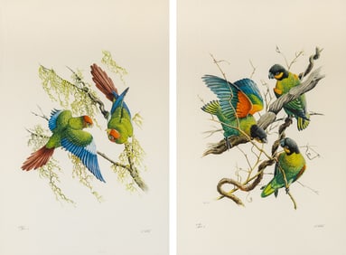 Two colorful bird prints