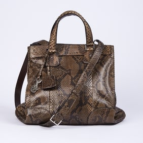 Celine Python Bag