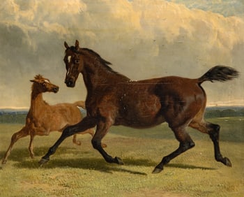 John Frederick Herring, Snr.