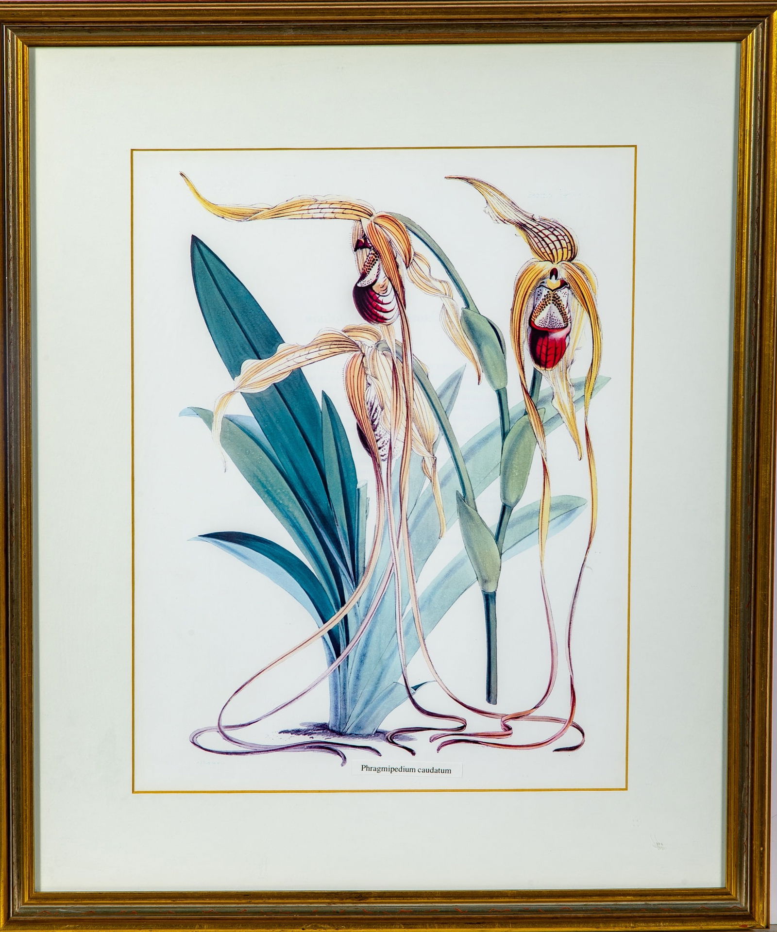 Artist Unknown (1 of 11)