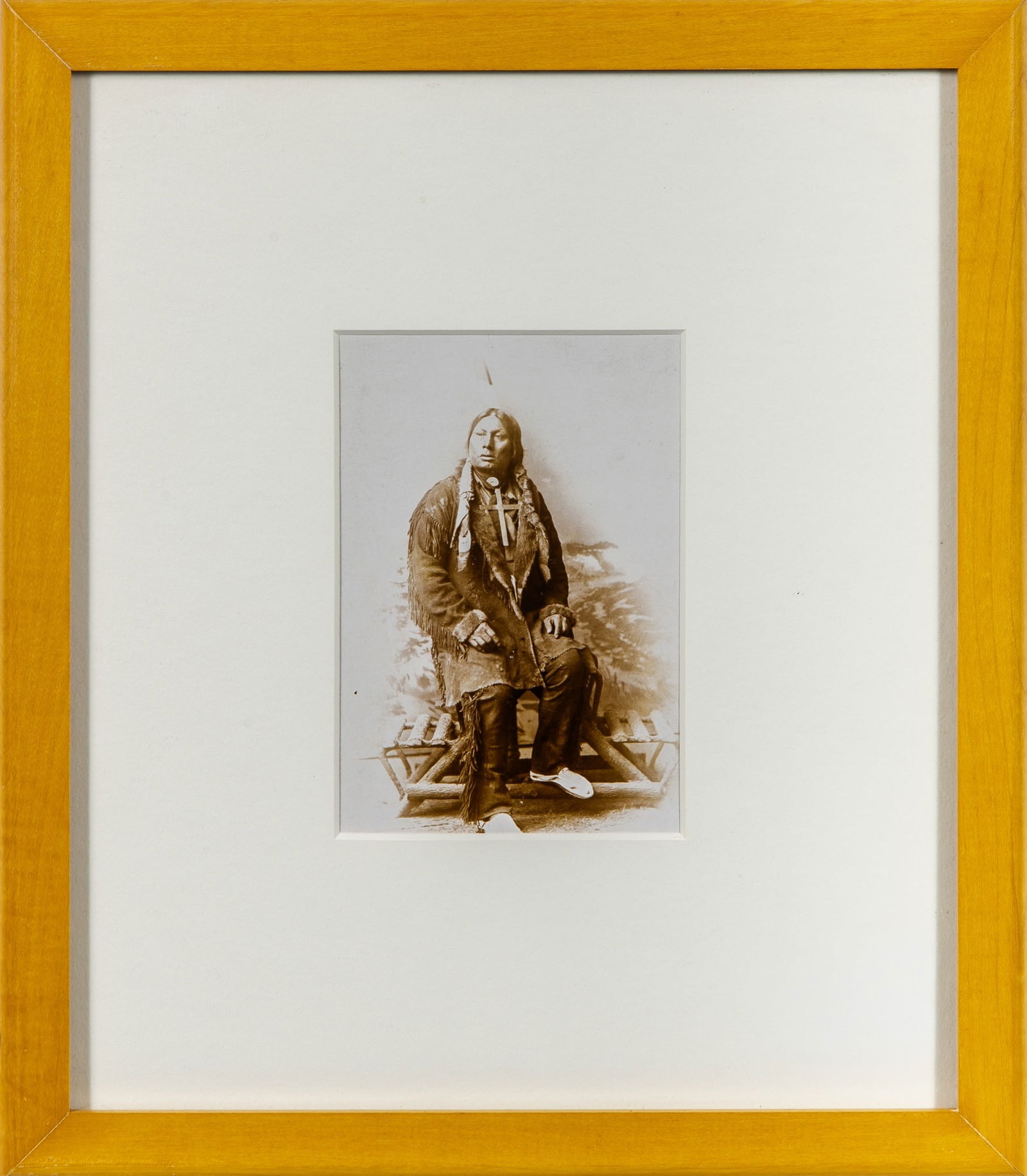 An enticing photograph of Hunkpapa Lakota leader Gall.: [NATIVE AMERICANS] [D.F. BARRY] A cabinet card of the prominent Native American leader Gall. Albumen print, circa 1877. Image 6 1/2 x 4 1/4 inches (16 x 11) cm; frame 12 x 10 inches (30 x 25) cm. Fram