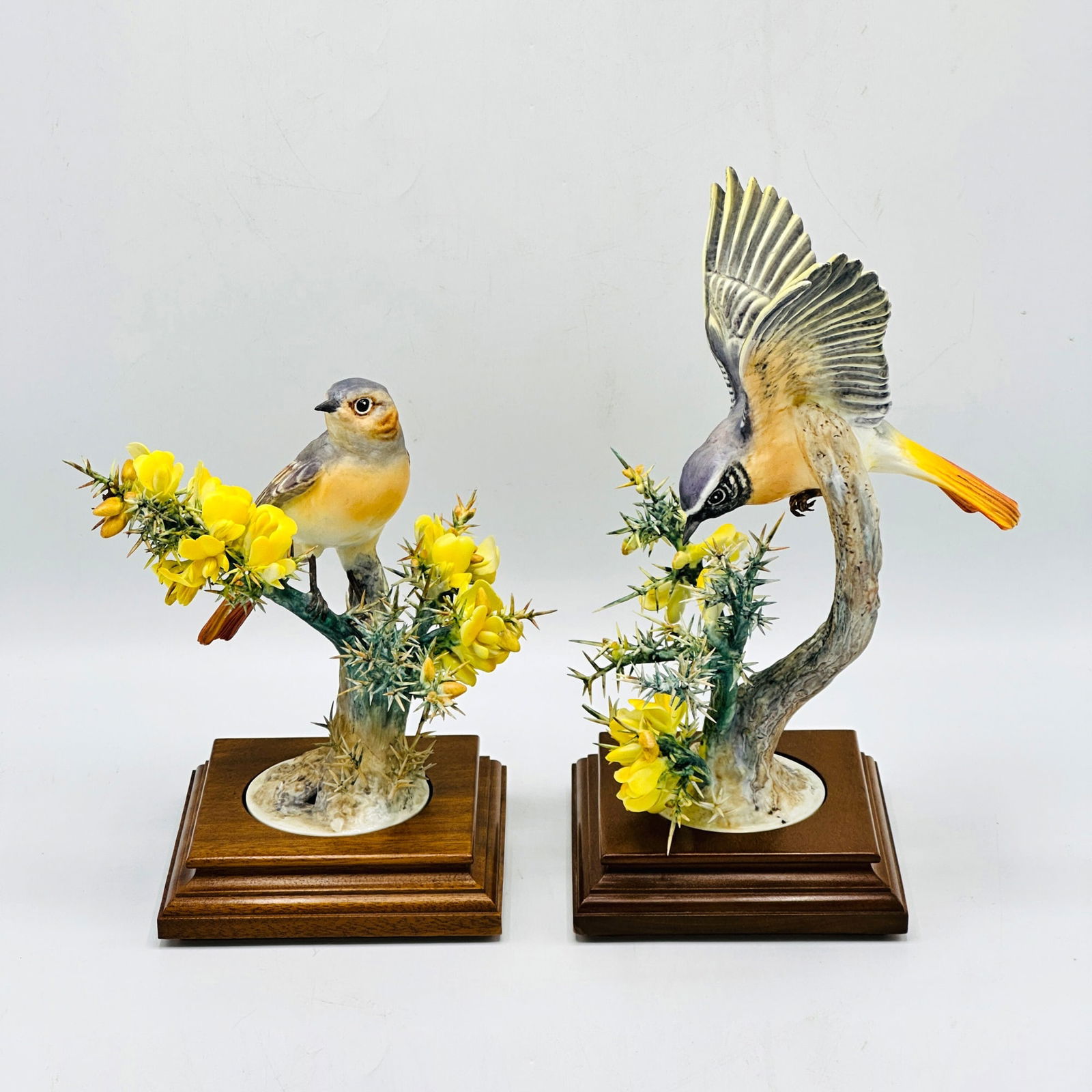 Pair of Royal Worcester Porcelain Redstarts (1 of 6)