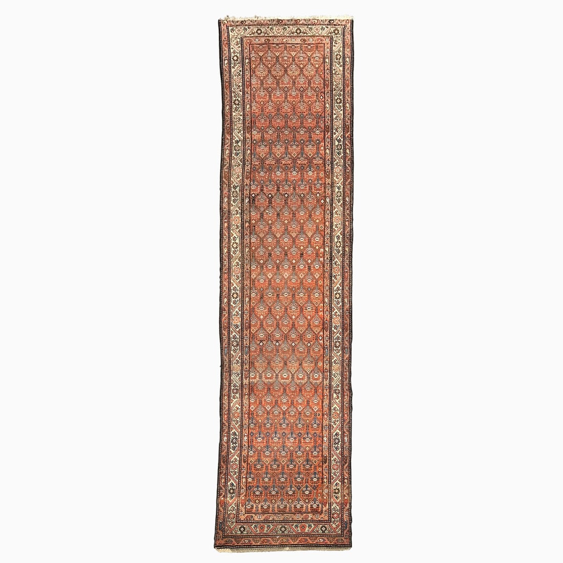 Hamadan Runner: Northwest Persia, First 1/4 20th Century Approximately 12 feet 4 inches x 3 feet 1 inch. Partial end border